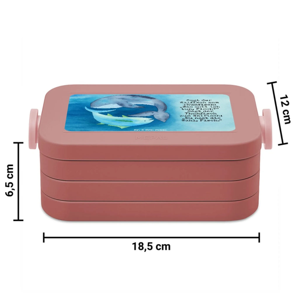 MEPAL Bentobox Walfisch Thunfisch Design Brotdose, Lunchbox, Bentobox, Tiermotive, Gute Laune, lustige Sprüche, Tiere, Wahl, Witz, Wortwitz lustig, Wal, Flachwitz Geschenk, Flachwitz, Spruch lustig, Spruch des Tages, Tunfisch