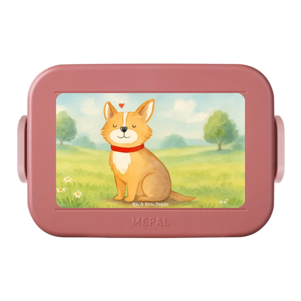 MEPAL Bentobox Hund Glück Design Brotdose, Bentobox, Lunchbox, Hund, Hundemotiv, Haustier, Hunderasse, Tierliebhaber, Hundebesitzer, Sprüche, Spruch, Liebe, Hundeliebe, Corgie, Hundemama