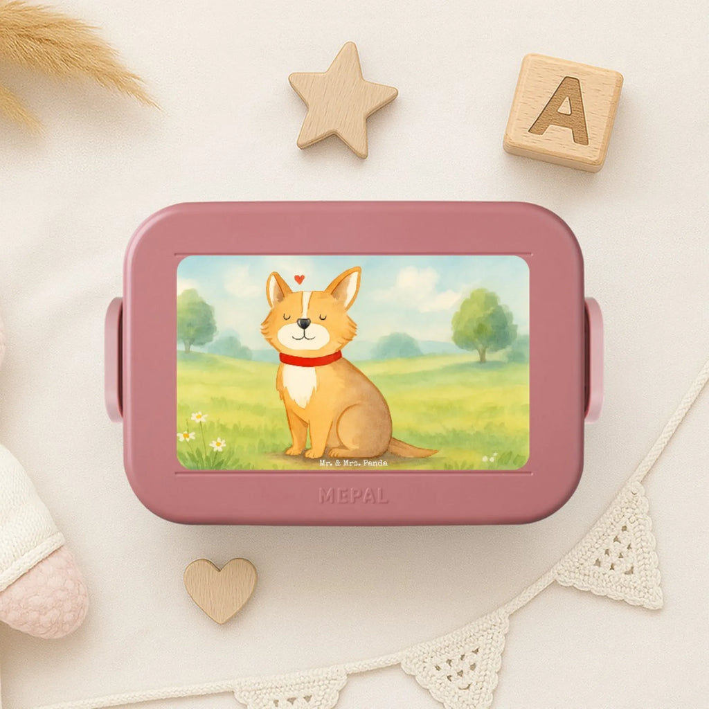 MEPAL Bentobox Hund Glück Design Brotdose, Bentobox, Lunchbox, Hund, Hundemotiv, Haustier, Hunderasse, Tierliebhaber, Hundebesitzer, Sprüche, Spruch, Liebe, Hundeliebe, Corgie, Hundemama