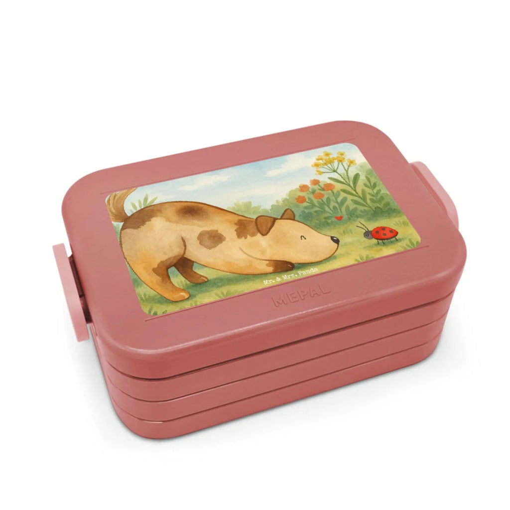 MEPAL Bentobox Hund Marienkäfer Design Brotdose, Bentobox, Lunchbox, Hund, Hundemotiv, Haustier, Hunderasse, Tierliebhaber, Hundebesitzer, Sprüche, Mischling, Mischlinghund, Hunde, Hundespruch, Marienkäfer