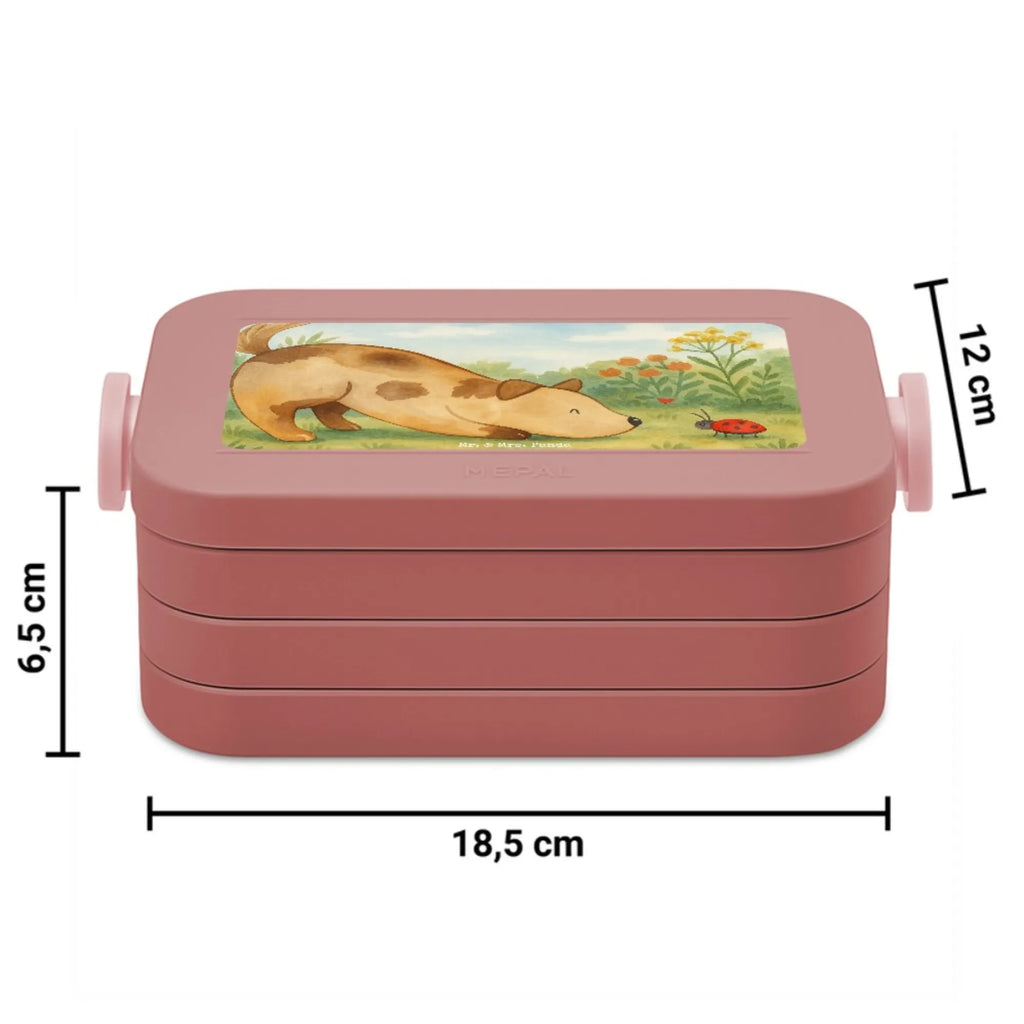MEPAL Bentobox Hund Marienkäfer Design Brotdose, Bentobox, Lunchbox, Hund, Hundemotiv, Haustier, Hunderasse, Tierliebhaber, Hundebesitzer, Sprüche, Mischling, Mischlinghund, Hunde, Hundespruch, Marienkäfer