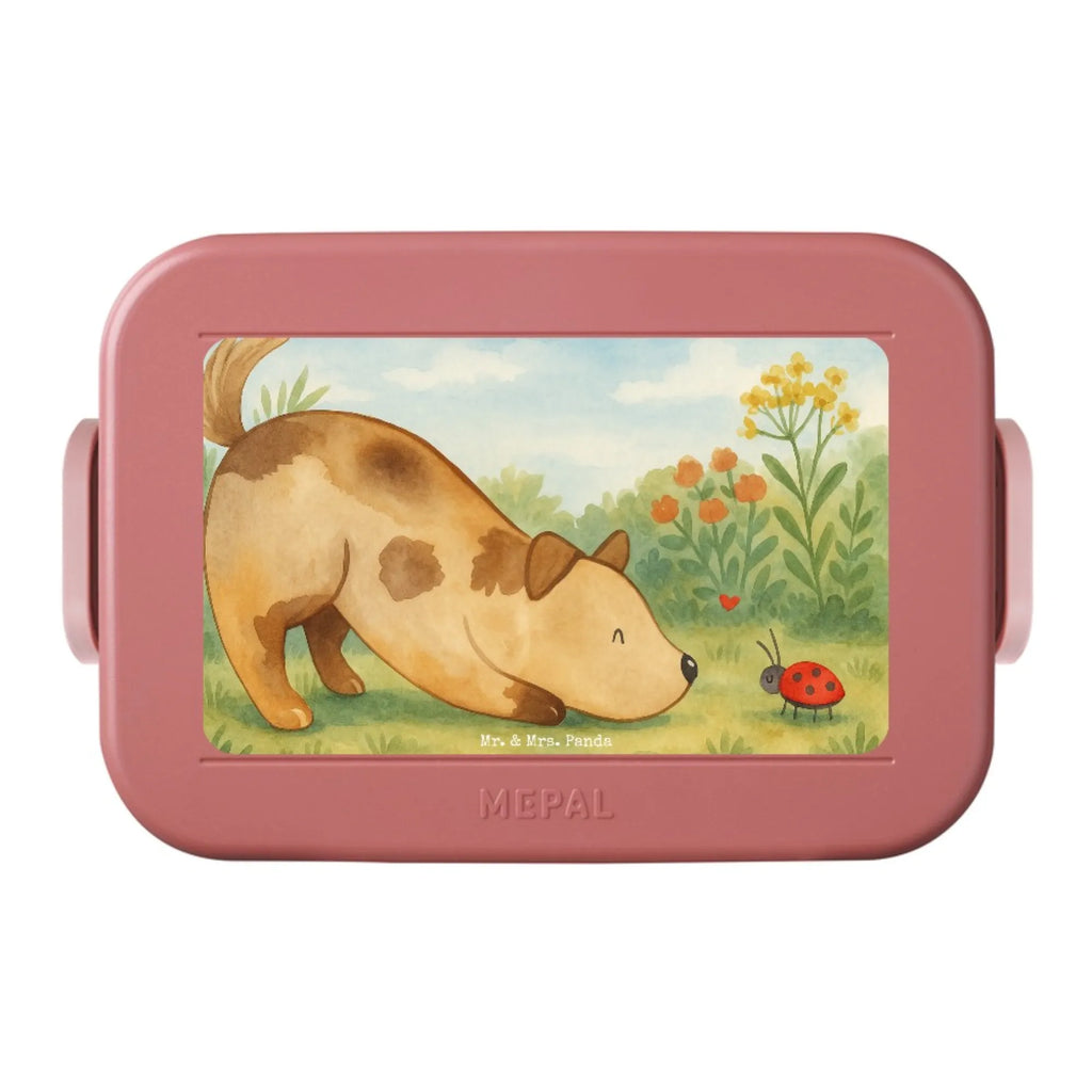 MEPAL Bentobox Hund Marienkäfer Design Brotdose, Bentobox, Lunchbox, Hund, Hundemotiv, Haustier, Hunderasse, Tierliebhaber, Hundebesitzer, Sprüche, Mischling, Mischlinghund, Hunde, Hundespruch, Marienkäfer
