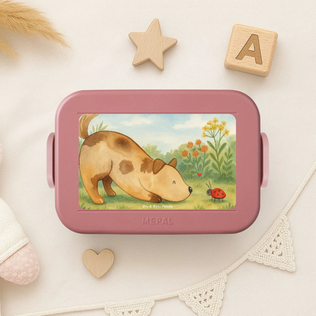 MEPAL Bentobox Hund Marienkäfer Design Brotdose, Bentobox, Lunchbox, Hund, Hundemotiv, Haustier, Hunderasse, Tierliebhaber, Hundebesitzer, Sprüche, Mischling, Mischlinghund, Hunde, Hundespruch, Marienkäfer