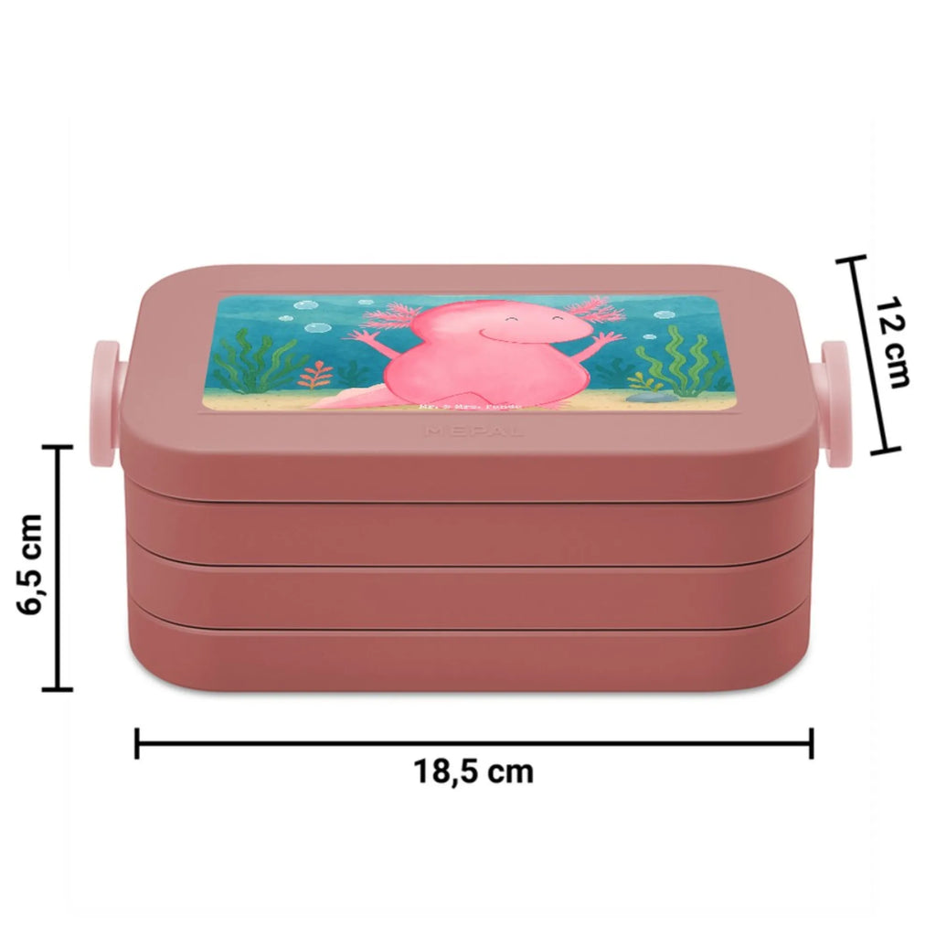 MEPAL Bentobox Axolotl Hurra Design Lunchbox, Bentobox, Brotdose, Axolotl, Molch, fröhlich, Zufriedenheit, Freude, Schwanzlurch, Lurche, Axolot, Spaß, Lurch, Motivation