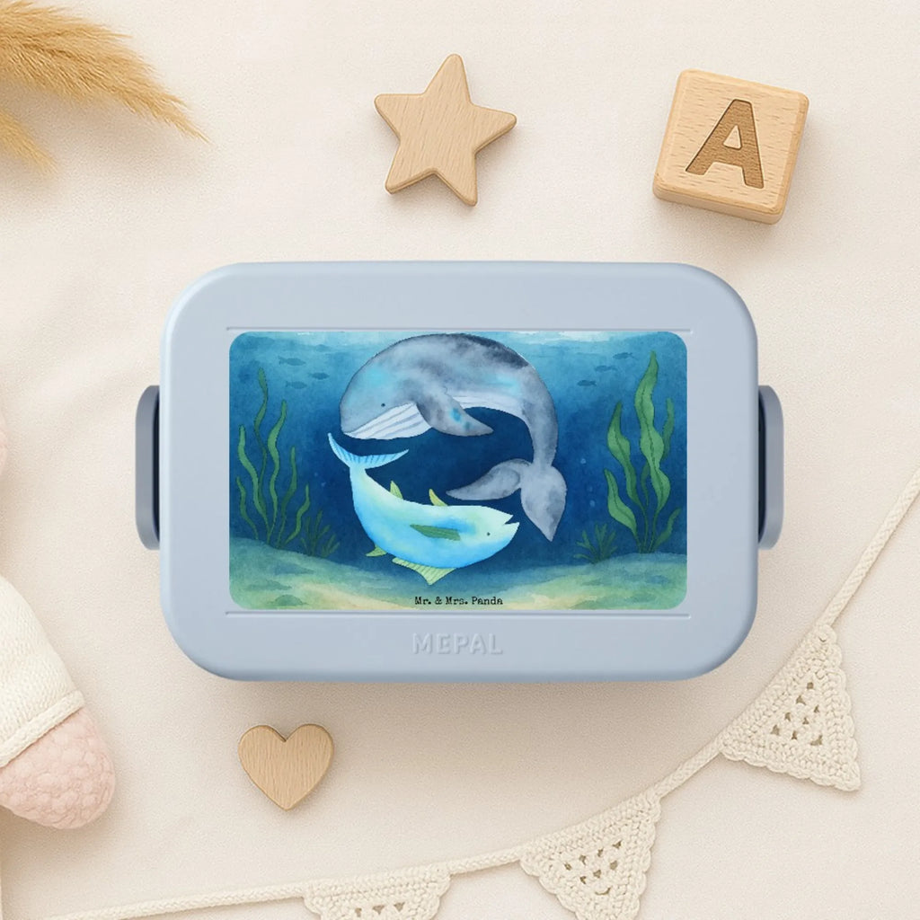 MEPAL Bentobox Walfisch Thunfisch Design Brotdose, Lunchbox, Bentobox, Tiermotive, Gute Laune, lustige Sprüche, Tiere, Wahl, Witz, Wortwitz lustig, Wal, Flachwitz Geschenk, Flachwitz, Spruch lustig, Spruch des Tages, Tunfisch