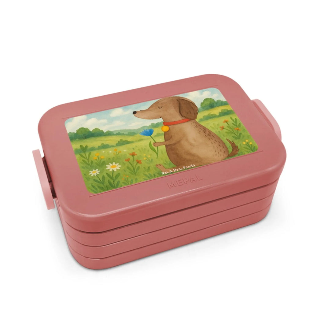 MEPAL Bentobox Hund Blume Design Brotdose, Bentobox, Lunchbox, Hund, Hundemotiv, Haustier, Hunderasse, Tierliebhaber, Hundebesitzer, Sprüche, Frauchen, Hundeliebe, Hunde