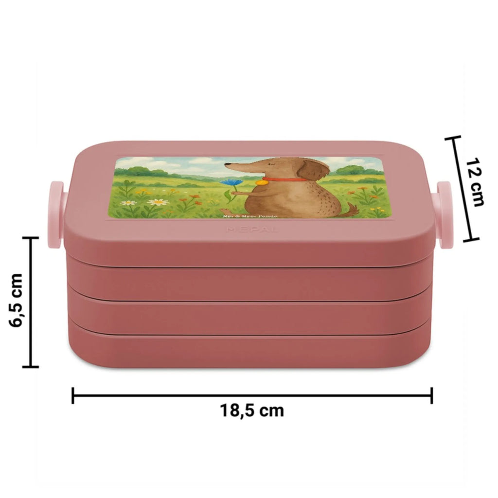 MEPAL Bentobox Hund Blume Design Brotdose, Bentobox, Lunchbox, Hund, Hundemotiv, Haustier, Hunderasse, Tierliebhaber, Hundebesitzer, Sprüche, Frauchen, Hundeliebe, Hunde