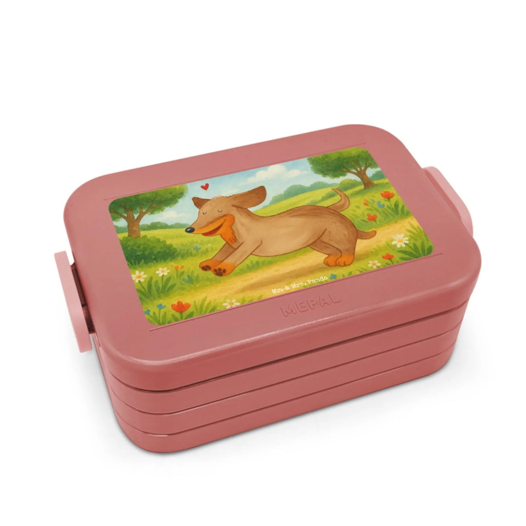 MEPAL Bentobox Hund Dackel Design Bentobox, Lunchbox, Brotdose, Hund, Hundemotiv, Haustier, Hunderasse, Tierliebhaber, Hundebesitzer, Sprüche, Hunde, Dachshund, Dackel, happy dog