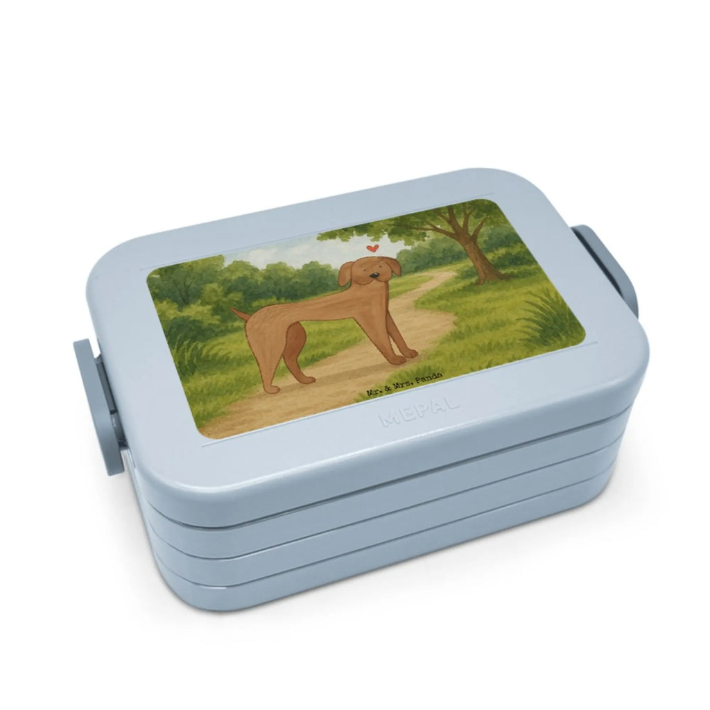 MEPAL Bentobox Hund Dogge Design Brotdose, Lunchbox, Bentobox, Hund, Hundemotiv, Haustier, Hunderasse, Tierliebhaber, Hundebesitzer, Sprüche, Dogge, Great Dane, Deutsche Dogge, Hunde