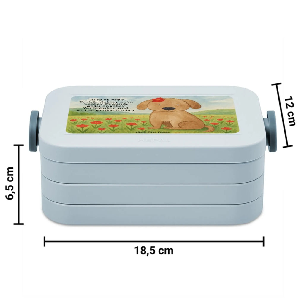MEPAL Bentobox Hund Dame Design Brotdose, Bentobox, Lunchbox, Hund, Hundemotiv, Haustier, Hunderasse, Tierliebhaber, Hundebesitzer, Sprüche, Frauchen, Liebe, Hundeliebe, Hunde, Hundeglück