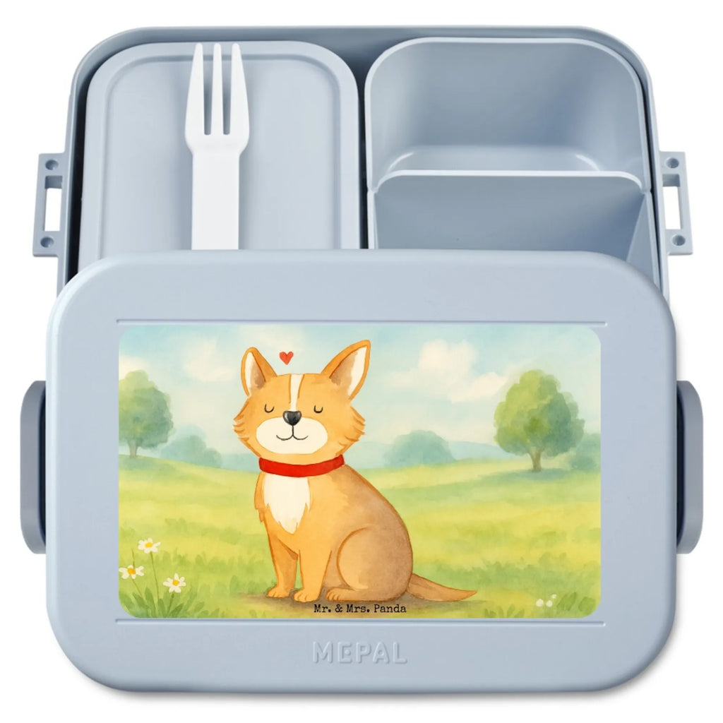 MEPAL Bentobox Hund Glück Design Brotdose, Bentobox, Lunchbox, Hund, Hundemotiv, Haustier, Hunderasse, Tierliebhaber, Hundebesitzer, Sprüche, Spruch, Liebe, Hundeliebe, Corgie, Hundemama