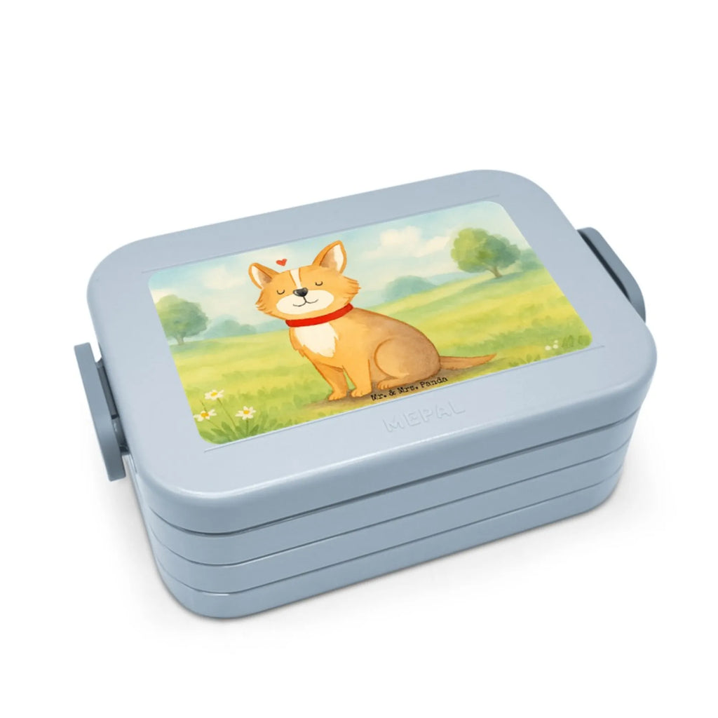 MEPAL Bentobox Hund Glück Design Brotdose, Bentobox, Lunchbox, Hund, Hundemotiv, Haustier, Hunderasse, Tierliebhaber, Hundebesitzer, Sprüche, Spruch, Liebe, Hundeliebe, Corgie, Hundemama
