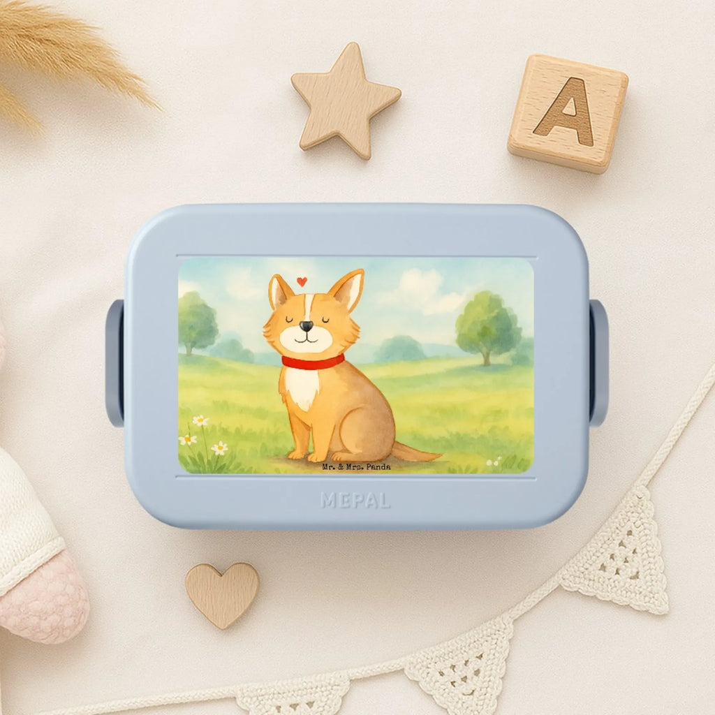 MEPAL Bentobox Hund Glück Design Brotdose, Bentobox, Lunchbox, Hund, Hundemotiv, Haustier, Hunderasse, Tierliebhaber, Hundebesitzer, Sprüche, Spruch, Liebe, Hundeliebe, Corgie, Hundemama
