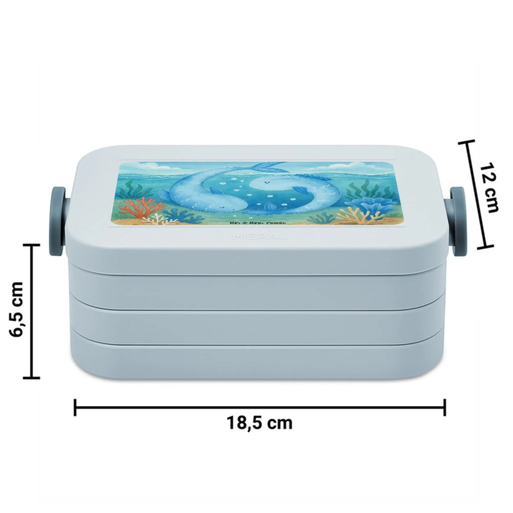 MEPAL Bentobox Sternzeichen Fische Design Brotdose, Lunchbox, Bentobox, Tierkreiszeichen, Sternzeichen, Horoskop, Astrologie, Aszendent, Geschenk März, Fisch, Fische Geschenk, Geburtstag Februar, Geschenk Februar, Geburtstag März, Fische Sternbild, Fische Sternzeichen