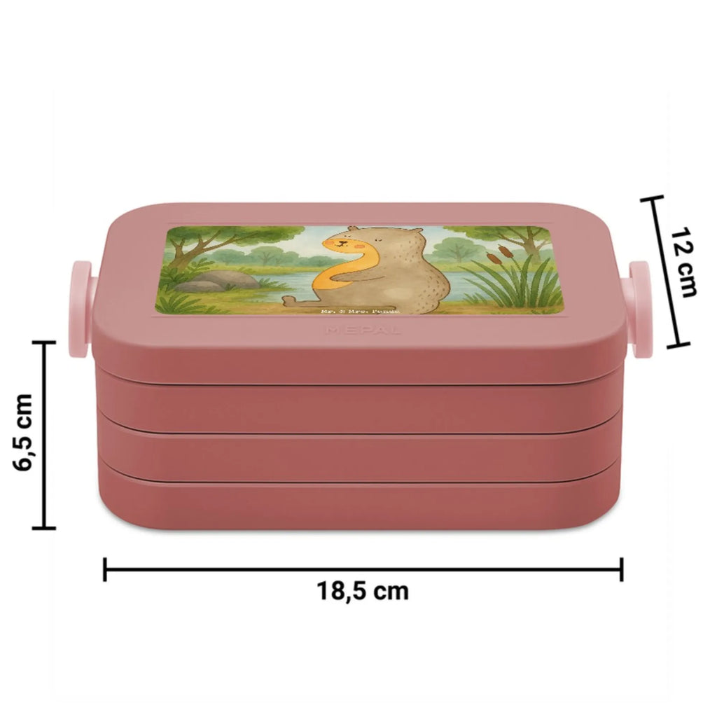 MEPAL Bentobox Otter Bauch Design Lunchbox, Bentobox, Brotdose, Otter, Fischotter, Seeotter, Otter Seeotter See Otter