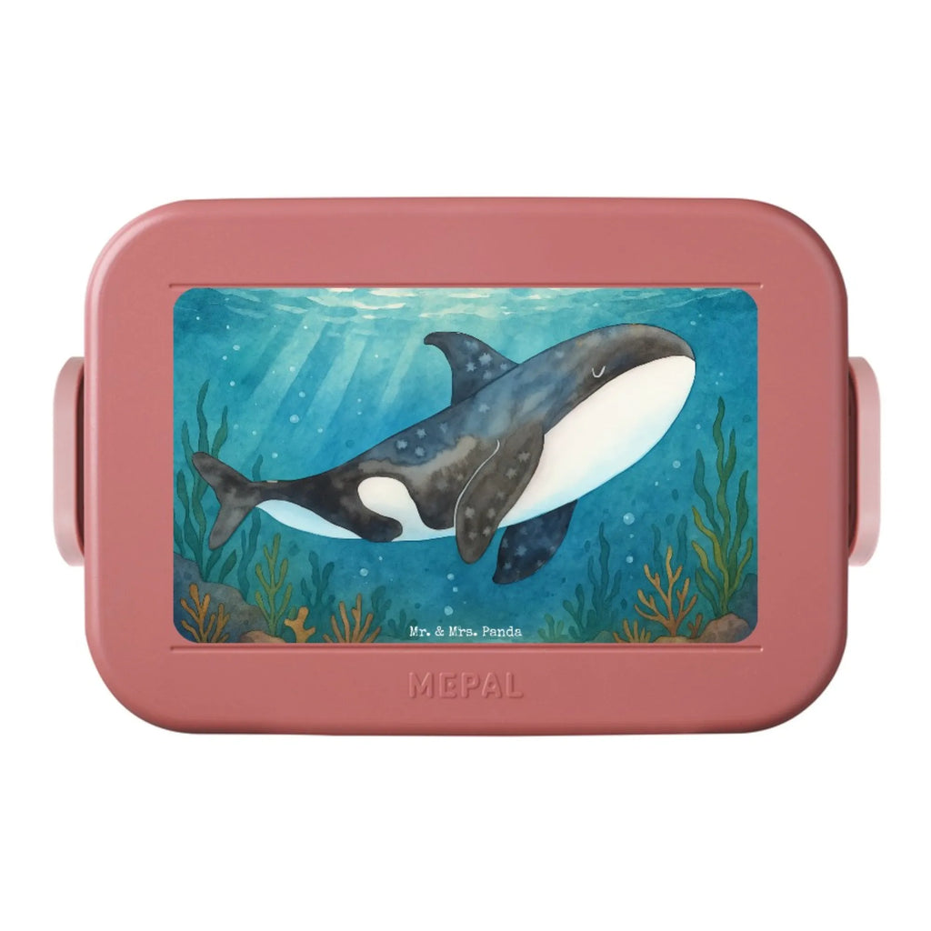 MEPAL Bentobox Orca Design Brotdose, Lunchbox, Bentobox, Meerestiere, Meer, Urlaub, Killerwal, Startup, Möglichkeiten, Büro, Arbeit, Motivation, Wal, Orca, Selbstliebe, Neustart, Orcas