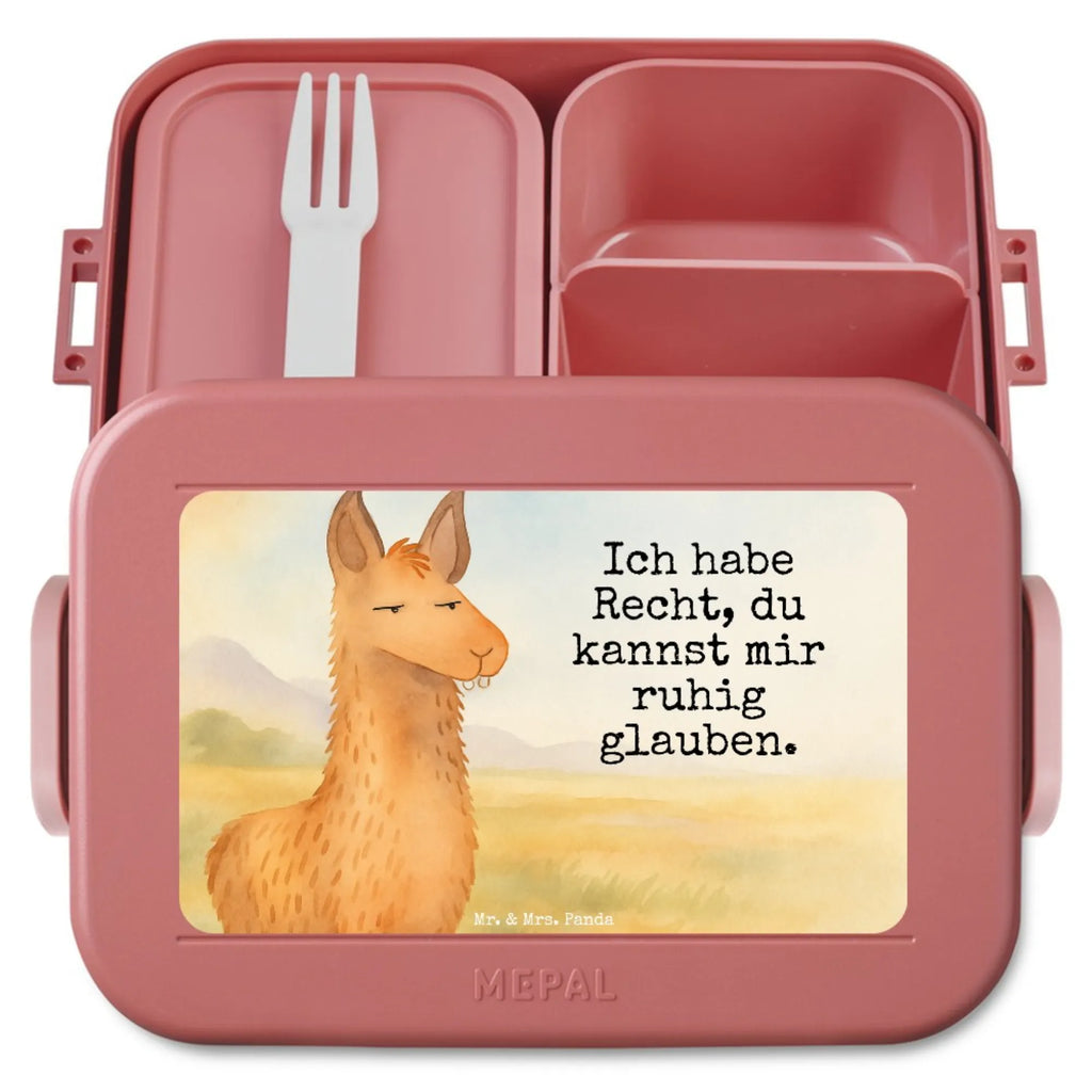 MEPAL Bentobox Lamakopf Genervt Design Lunchbox, Brotdose, Bentobox, Lama, Alpaka, Lamas, Büro, Büroalltag, Azubi, Chef, Chefin, genervt sein, Partnerin, Freundin, beste Freundin, Recht haben