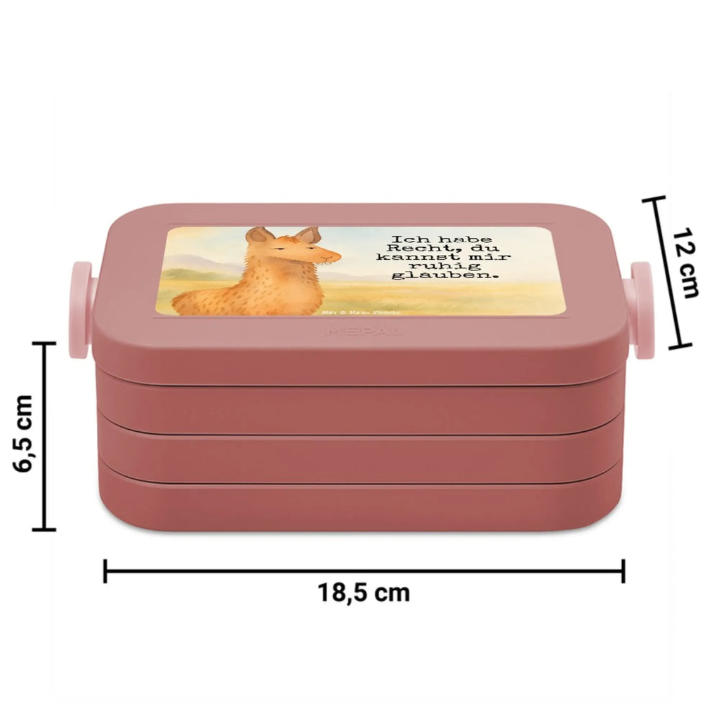 MEPAL Bentobox Lamakopf Genervt Design Lunchbox, Brotdose, Bentobox, Lama, Alpaka, Lamas, Büro, Büroalltag, Azubi, Chef, Chefin, genervt sein, Partnerin, Freundin, beste Freundin, Recht haben