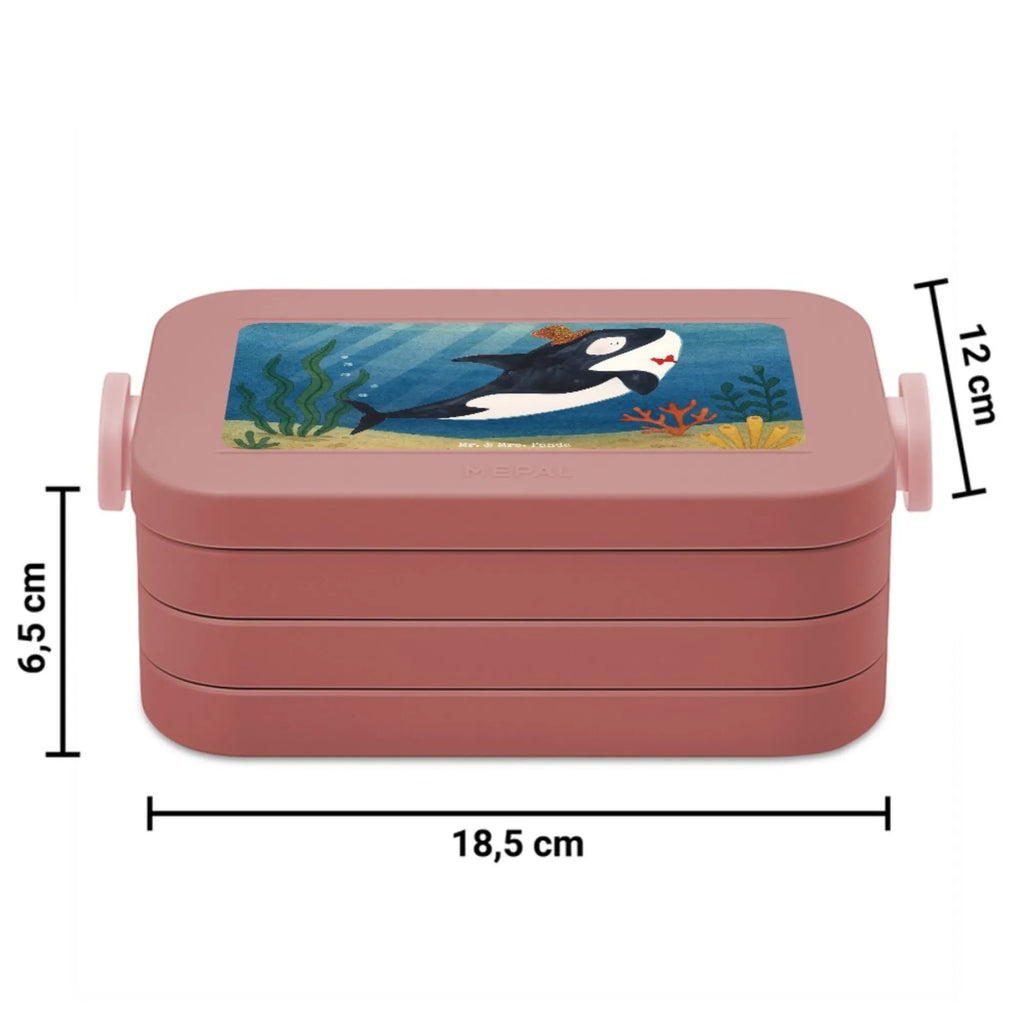 MEPAL Bentobox Orca Zylinder Design Brotdose, Lunchbox, Bentobox, Meerestiere, Meer, Urlaub, Glückwunsch, Glitter, Feier, Orca, Konfetti, Glitzer, Geburtstag, Fest, Fete, Narwal