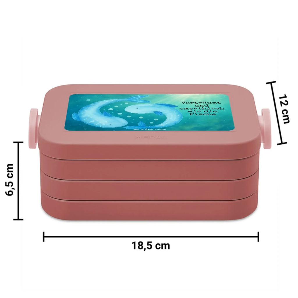 MEPAL Bentobox Sternzeichen Fische Design Brotdose, Lunchbox, Bentobox, Tierkreiszeichen, Sternzeichen, Horoskop, Astrologie, Aszendent, Geschenk März, Fisch, Fische Geschenk, Geburtstag Februar, Geschenk Februar, Geburtstag März, Fische Sternbild, Fische Sternzeichen