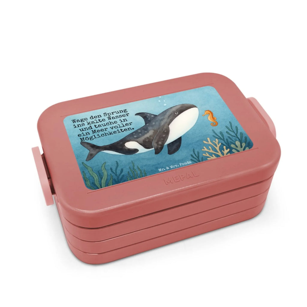 MEPAL Bentobox Orca Design Brotdose, Lunchbox, Bentobox, Meerestiere, Meer, Urlaub, Killerwal, Startup, Möglichkeiten, Büro, Arbeit, Motivation, Wal, Orca, Selbstliebe, Neustart, Orcas