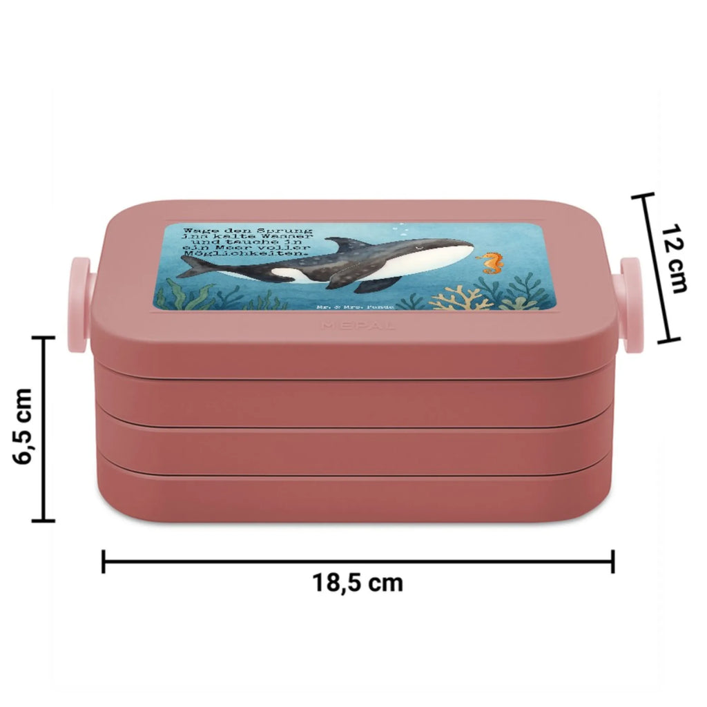 MEPAL Bentobox Orca Design Brotdose, Lunchbox, Bentobox, Meerestiere, Meer, Urlaub, Killerwal, Startup, Möglichkeiten, Büro, Arbeit, Motivation, Wal, Orca, Selbstliebe, Neustart, Orcas