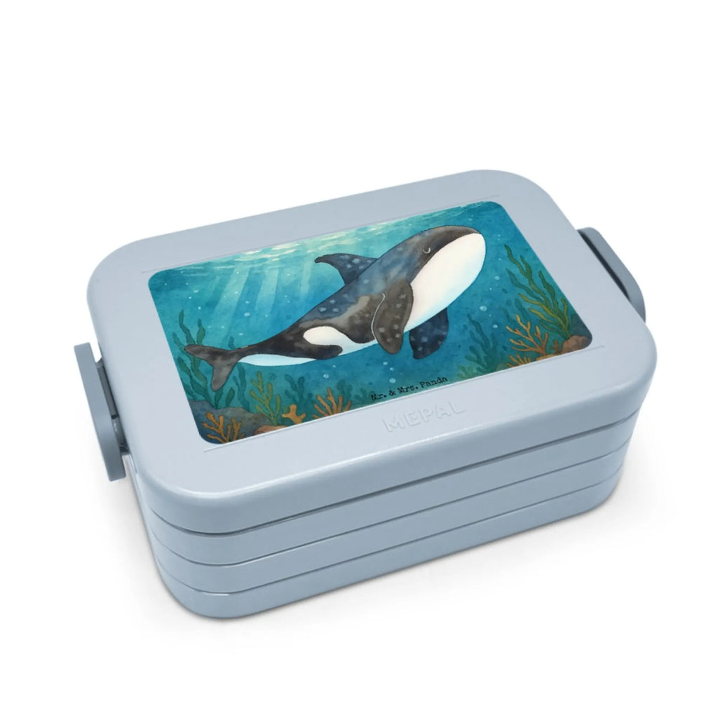 MEPAL Bentobox Orca Design Brotdose, Lunchbox, Bentobox, Meerestiere, Meer, Urlaub, Killerwal, Startup, Möglichkeiten, Büro, Arbeit, Motivation, Wal, Orca, Selbstliebe, Neustart, Orcas