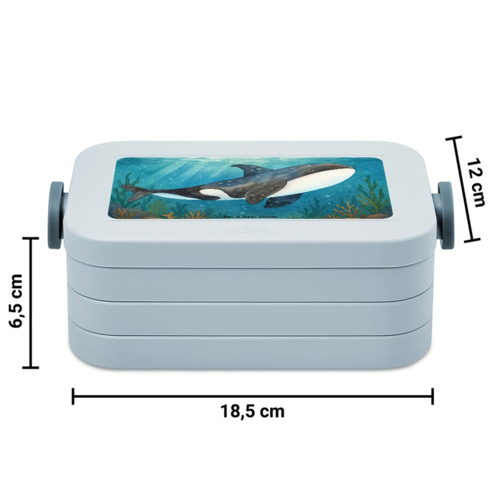 MEPAL Bentobox Orca Design Brotdose, Lunchbox, Bentobox, Meerestiere, Meer, Urlaub, Killerwal, Startup, Möglichkeiten, Büro, Arbeit, Motivation, Wal, Orca, Selbstliebe, Neustart, Orcas