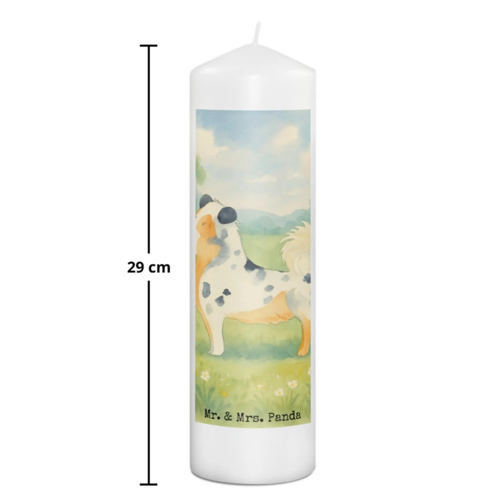 świeca Pies Owczarek australijski Design Sojawachskerze, Kerze Mit Duft, Kerze Mit Namensgravur, Stumpenkerze, Gedenkkerze, Gartenkerze, Kerze, Teelicht, Votivkerze, Andachtskerze, Handgemachte Kerze, Grablicht, Kerze Mit Fotoeinleger, Kerze Mit Gravur, Kerze Für Ostern, Grabkerze, Dinnerkerzenpaar, Kerze Für Kommunion, Blockkerze, Tischkerze, Stabkerze, Handgegossene Kerze, Duftkerze, Kerze Mit Motiv, Kerze Für Taufe, Kerze Für Geburtstag, Kerze Für Weihnachten, Kerze Für Advent, Kerze Für Firmung, Laternenkerze, Fair-Trade-Kerze, Stearin­kerze, Stumpenkerzen-Set, Kerze Ohne Duft, Kerze Mit Spruch, Kerze Mit Prägung, Kerze Für Hochzeit, Bio-Kerze, Tafelkerze, Dinnerkerze, Trauerkerze, Metall-Kerze, Glas-Kerze, Outdoor-Kerze, Streukerze, Kerze Als Gastgeschenk, Hund, Hundemotiv, Haustier, Hunderasse, Tierliebhaber, Hundebesitzer, Sprüche, Shepherd, Australien Shepherd, Hundeliebe, Familienhund, Spruch