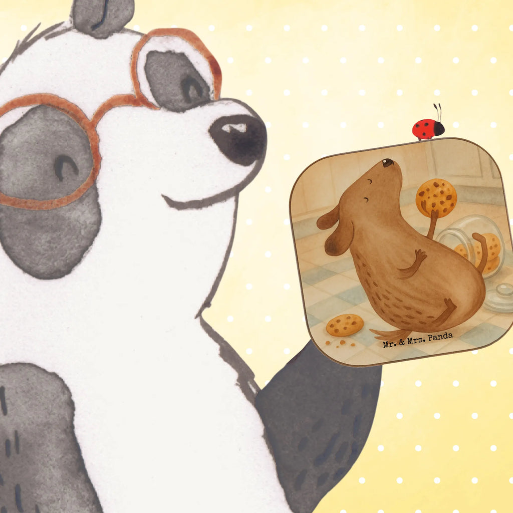 Square coaster Dog biscuit Design glass coasters, breakfast, gift, party, presents, gifts, Coasters, dog, mutt, hound, woof, dog mama, dog breed, love dogs, love for dogs, dog decorative items, bag with dog print, funny gifts for dog owners, what do you give a dog lover, Christmas gifts for dogs, gifts for dogs, dog sayings, treats, dog biscuits, dog treats, dog snacks, Dog