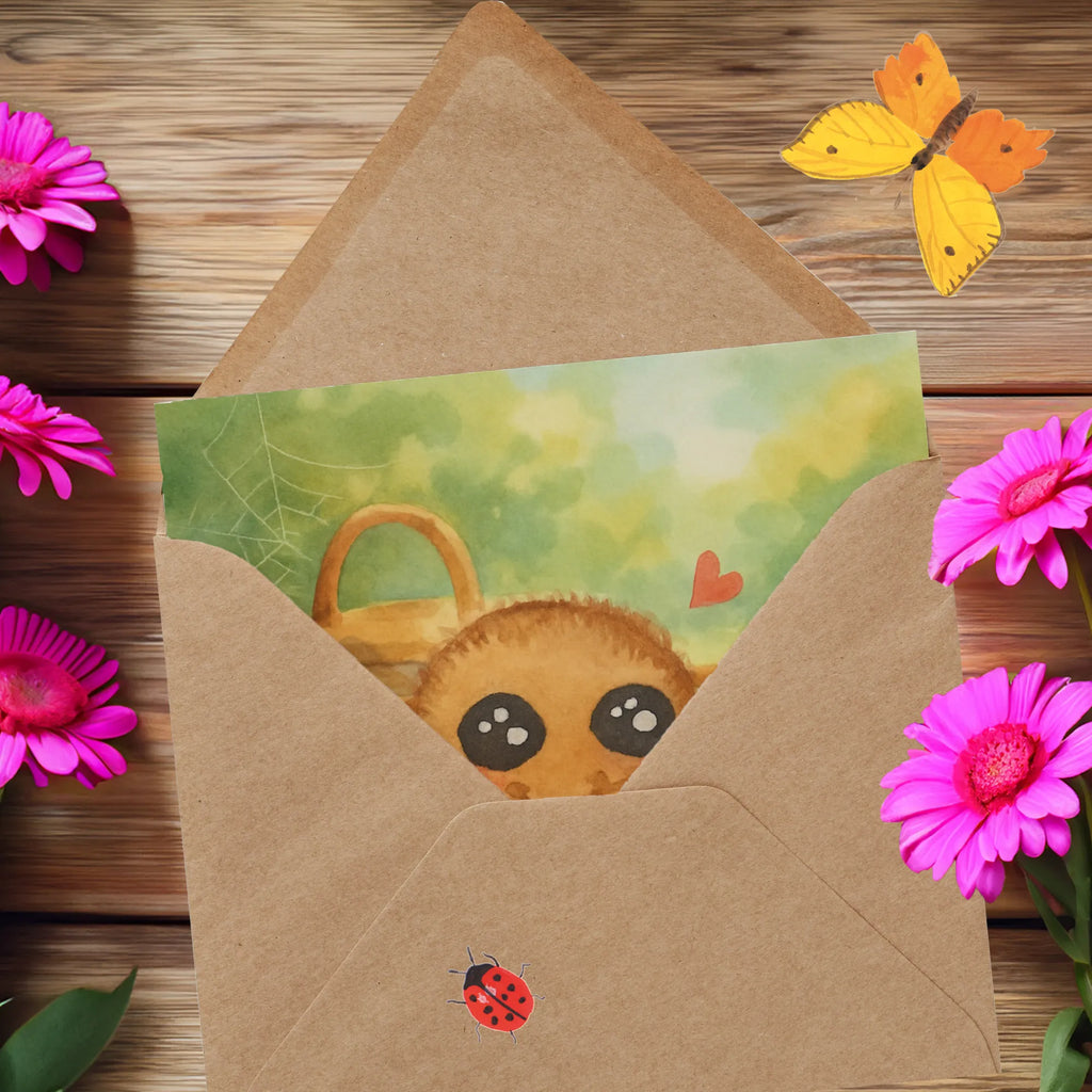 Deluxe Card Spider Agathe Sandwich Design Spider Agathe, Spider, Agathe, Videos, Merchandise