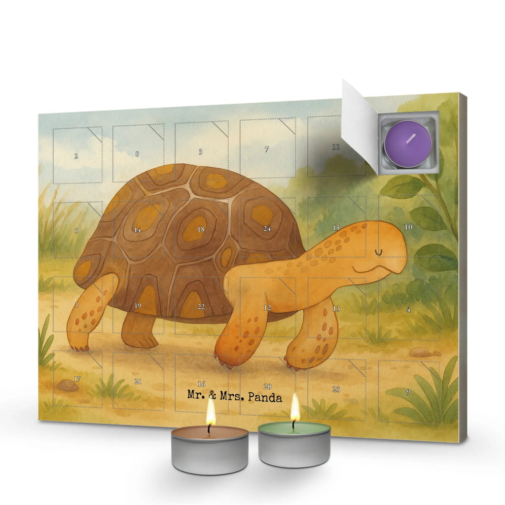 Duftkerzen Adventskalender Schildkröte Marschieren Design adventskalender kerzen, raumduft adventskalender, Weihnachtskalender, aroma adventskalender, weihnachts adventskalender, adventskalender duftkerzen, duft adventskalender, adventskerzen kalender, adventskalender mit duftkerzen, duft kalender, duftkerzenkalender, Duftkerzen Adventskalender, Kerzen Adventskalender, kerzenkalender, adventskalender mit kerzen, Adventskalender, advent kalender, Meer, Urlaub, Meerestiere, Schildkröte, Neustart, Inspiration, Lieblingsmensch, Motivation, Reiselust, Schildkröten, Get Lost, Abenteuer