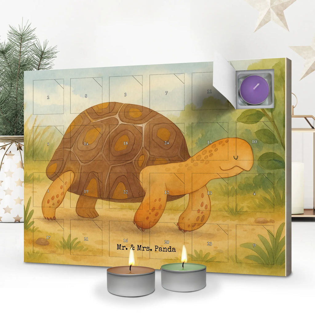 Duftkerzen Adventskalender Schildkröte Marschieren Design adventskalender kerzen, raumduft adventskalender, Weihnachtskalender, aroma adventskalender, weihnachts adventskalender, adventskalender duftkerzen, duft adventskalender, adventskerzen kalender, adventskalender mit duftkerzen, duft kalender, duftkerzenkalender, Duftkerzen Adventskalender, Kerzen Adventskalender, kerzenkalender, adventskalender mit kerzen, Adventskalender, advent kalender, Meer, Urlaub, Meerestiere, Schildkröte, Neustart, Inspiration, Lieblingsmensch, Motivation, Reiselust, Schildkröten, Get Lost, Abenteuer
