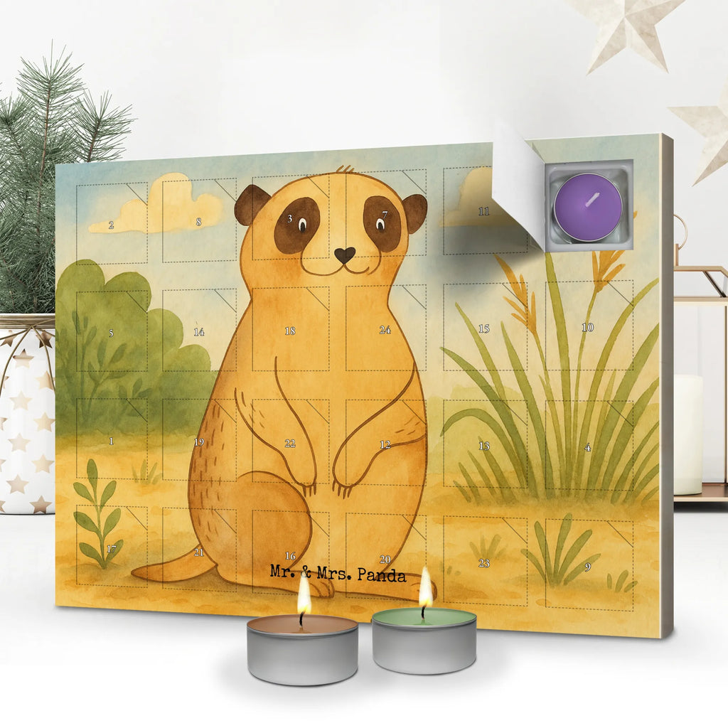 Scented candle advent calendar Meerkat Design adventskalender mit duftkerzen, raumduft adventskalender, Duftkerzen Adventskalender, aroma adventskalender, Weihnachtskalender, duft adventskalender, Kerzen Adventskalender, adventskalender duftkerzen, duftkerzenkalender, duft kalender, adventskalender mit kerzen, Adventskalender, weihnachts adventskalender, advent kalender, adventskerzen kalender, adventskalender kerzen, kerzenkalender, Afrika, Wildtiere, Spruch, Reisen, Afrikareise, Roadtrip, Weltreise, Erdmännchen, Traveling