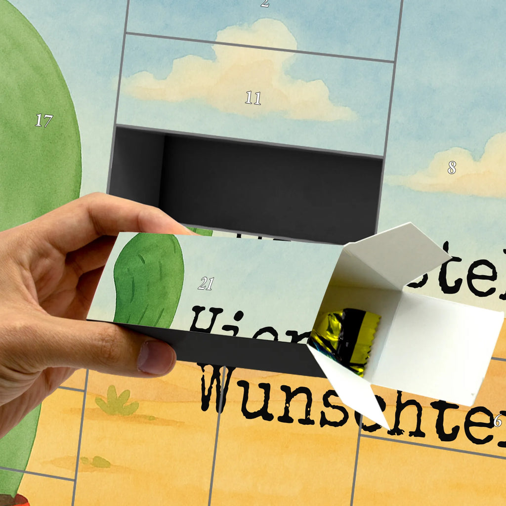  cactus Fury Design cactus, cactuses, plants, cactus plant, small green cactus, school, annoy, angry, colleague, boss, office life, office