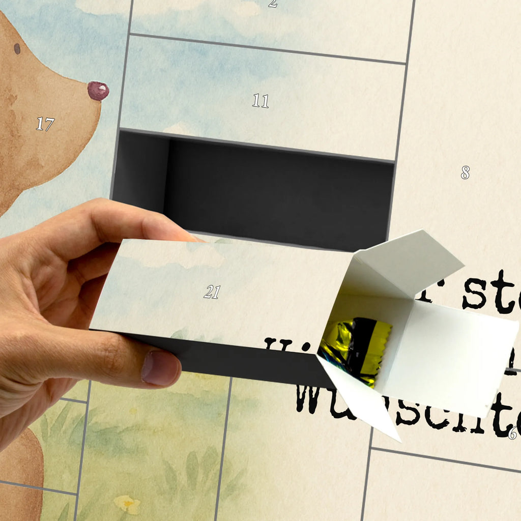  bear shoulder look Design bear, teddy, teddy bear, cuddly toy, self-esteem, world view, bear love, wisdom, motivation, bears