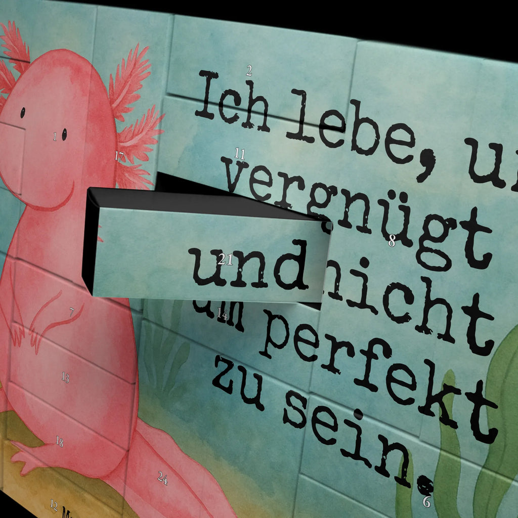Fillable advent calendar axolotl zero Design Advent calendar men, self filling, Advent calendar, Advent calendar women, Advent calendar 2020, Axolotl, Axelotl, marine animals, Mexican walking fish, salamander, girlfriend, love, cheerful, lifestyle, wisdom, happy, Axolot, worldly wisdom, contented