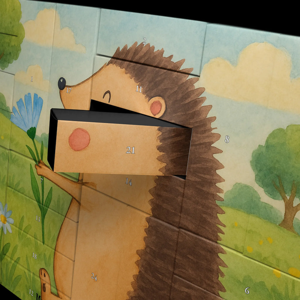 Fillable advent calendar Hedgehog Flower Design Weihnachtskalender Boxen, Adventskalender mit 24 Schachteln, Adventskalender Boxen, Adventskalender für Erwachsene, Adventskalender Zum Selbst Befüllen, Adventskalender Zum Befüllen, Adventskalender, Diy Adventskalender, Adventskalender 24 Boxen, Adventskalender Box, Adventskalender ohne Inhalt, Geschenke Adventskalender, Erwachsenen Adventskalender, Karton Adventskalender, Adventskalender Karton, Adventskalender Schachtel, Weihnachtskalender Zum Befüllen, Weihnachtskalender, Adventskalender Zum Aufstellen, Weihnachtskalender Selbst Befüllen, Adventskalender Selbst Befüllen, Adventskalender Zum Füllen, Schachtel Adventskalender, Adventskalender Schachteln, Befüllbarer Adventskalender, Weihnachtskalender Schachteln, Tisch Adventskalender, Bastel Adventskalender, Adventskalender leer, Adventskalender Deko, Geschenkekalender, Leerer Adventskalender, Kalender Zum Befüllen, Lustige Sprüche, Tiere, Tiermotive, Gute Laune, Genesungswünsche, Krankenhaus, krank, Gute Besserung, Krankheit, Besuch, Igel