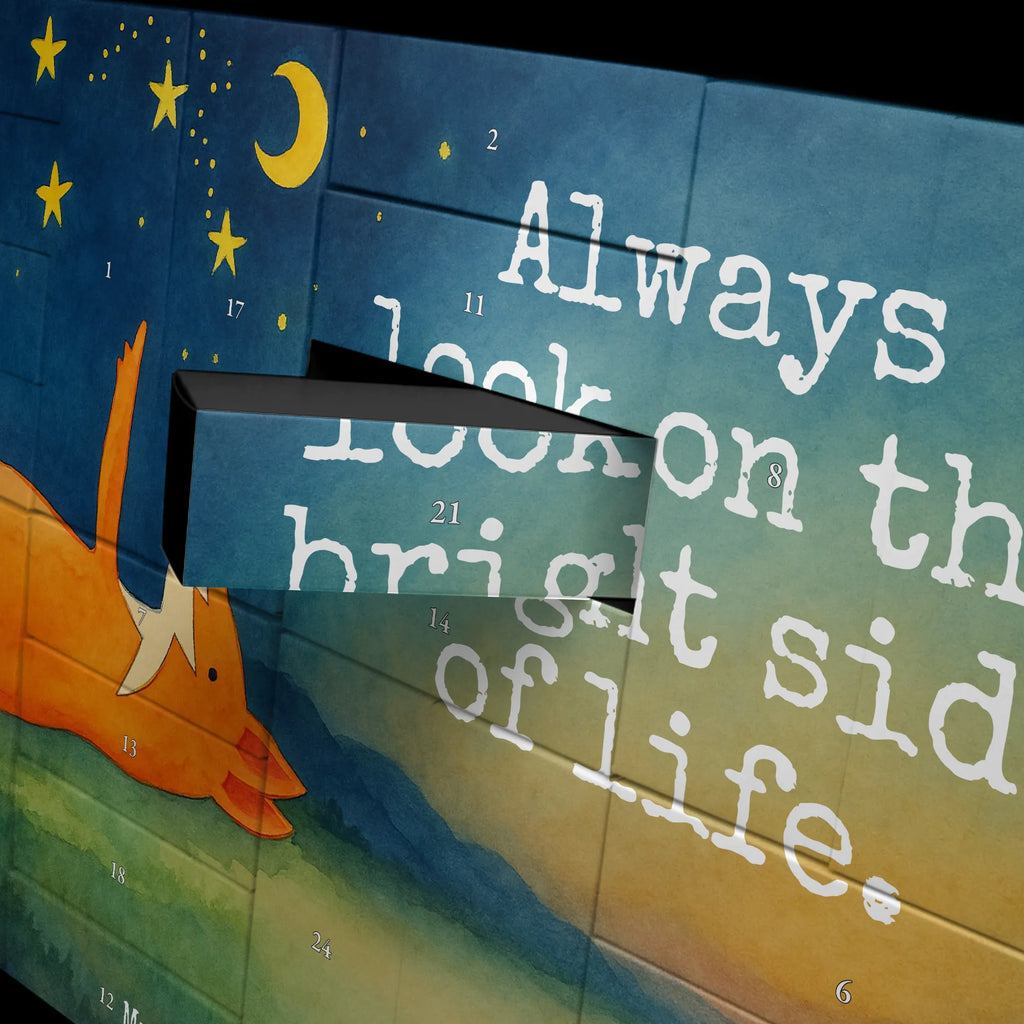  lis Gwiazdy Design Lis