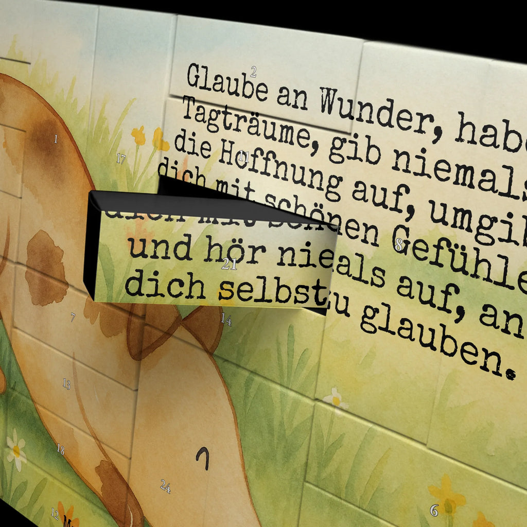 Fillable advent calendar Dog ladybug Design Adventskalender 24 Boxen, Weihnachtskalender Zum Befüllen, Adventskalender Zum Befüllen, Erwachsenen Adventskalender, Weihnachtskalender Boxen, Kalender Zum Befüllen, Bastel Adventskalender, Geschenke Adventskalender, Adventskalender Schachteln, Adventskalender Zum Selbst Befüllen, Adventskalender leer, Tisch Adventskalender, Befüllbarer Adventskalender, Karton Adventskalender, Adventskalender für Erwachsene, Adventskalender Karton, Adventskalender Schachtel, Schachtel Adventskalender, Weihnachtskalender Selbst Befüllen, Adventskalender Zum Aufstellen, Diy Adventskalender, Leerer Adventskalender, Adventskalender ohne Inhalt, Adventskalender Boxen, Adventskalender Selbst Befüllen, Adventskalender mit 24 Schachteln, Weihnachtskalender Schachteln, Adventskalender Deko, Geschenkekalender, Adventskalender, Adventskalender Zum Füllen, Adventskalender Box, Weihnachtskalender, Sprüche, Hund, Hunderasse, Hundebesitzer, Hundemotiv, Haustier, Tierliebhaber, Hundespruch, Marienkäfer, Mischlinghund, Mischling, Hunde