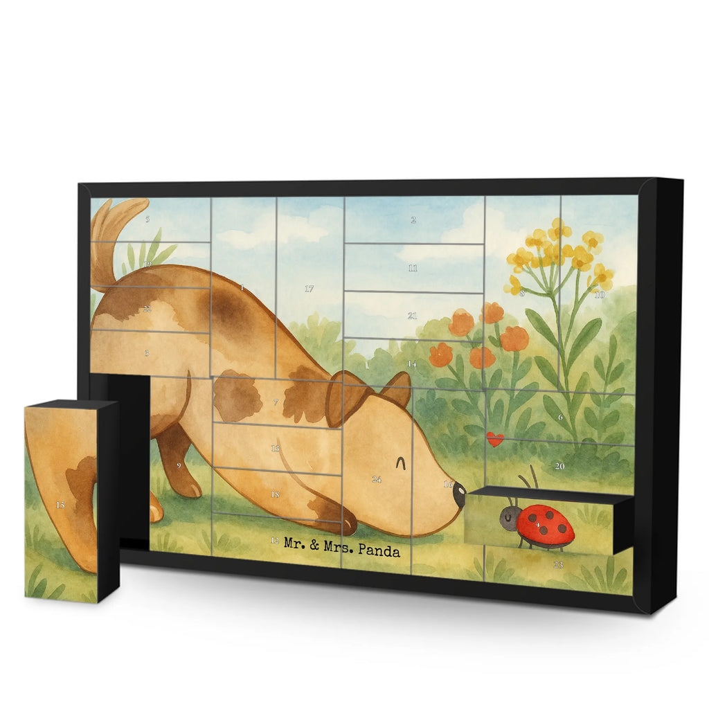 Fillable advent calendar Dog ladybug Design Adventskalender 24 Boxen, Weihnachtskalender Zum Befüllen, Adventskalender Zum Befüllen, Erwachsenen Adventskalender, Weihnachtskalender Boxen, Kalender Zum Befüllen, Bastel Adventskalender, Geschenke Adventskalender, Adventskalender Schachteln, Adventskalender Zum Selbst Befüllen, Adventskalender leer, Tisch Adventskalender, Befüllbarer Adventskalender, Karton Adventskalender, Adventskalender für Erwachsene, Adventskalender Karton, Adventskalender Schachtel, Schachtel Adventskalender, Weihnachtskalender Selbst Befüllen, Adventskalender Zum Aufstellen, Diy Adventskalender, Leerer Adventskalender, Adventskalender ohne Inhalt, Adventskalender Boxen, Adventskalender Selbst Befüllen, Adventskalender mit 24 Schachteln, Weihnachtskalender Schachteln, Adventskalender Deko, Geschenkekalender, Adventskalender, Adventskalender Zum Füllen, Adventskalender Box, Weihnachtskalender, Sprüche, Hund, Hunderasse, Hundebesitzer, Hundemotiv, Haustier, Tierliebhaber, Hundespruch, Marienkäfer, Mischlinghund, Mischling, Hunde