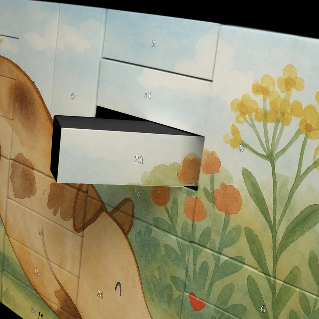 Fillable advent calendar Dog ladybug Design Adventskalender 24 Boxen, Weihnachtskalender Zum Befüllen, Adventskalender Zum Befüllen, Erwachsenen Adventskalender, Weihnachtskalender Boxen, Kalender Zum Befüllen, Bastel Adventskalender, Geschenke Adventskalender, Adventskalender Schachteln, Adventskalender Zum Selbst Befüllen, Adventskalender leer, Tisch Adventskalender, Befüllbarer Adventskalender, Karton Adventskalender, Adventskalender für Erwachsene, Adventskalender Karton, Adventskalender Schachtel, Schachtel Adventskalender, Weihnachtskalender Selbst Befüllen, Adventskalender Zum Aufstellen, Diy Adventskalender, Leerer Adventskalender, Adventskalender ohne Inhalt, Adventskalender Boxen, Adventskalender Selbst Befüllen, Adventskalender mit 24 Schachteln, Weihnachtskalender Schachteln, Adventskalender Deko, Geschenkekalender, Adventskalender, Adventskalender Zum Füllen, Adventskalender Box, Weihnachtskalender, Sprüche, Hund, Hunderasse, Hundebesitzer, Hundemotiv, Haustier, Tierliebhaber, Hundespruch, Marienkäfer, Mischlinghund, Mischling, Hunde