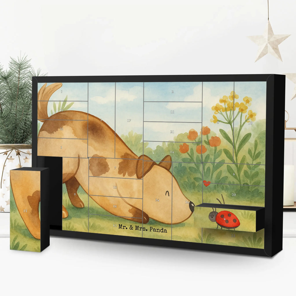 Fillable advent calendar Dog ladybug Design Adventskalender 24 Boxen, Weihnachtskalender Zum Befüllen, Adventskalender Zum Befüllen, Erwachsenen Adventskalender, Weihnachtskalender Boxen, Kalender Zum Befüllen, Bastel Adventskalender, Geschenke Adventskalender, Adventskalender Schachteln, Adventskalender Zum Selbst Befüllen, Adventskalender leer, Tisch Adventskalender, Befüllbarer Adventskalender, Karton Adventskalender, Adventskalender für Erwachsene, Adventskalender Karton, Adventskalender Schachtel, Schachtel Adventskalender, Weihnachtskalender Selbst Befüllen, Adventskalender Zum Aufstellen, Diy Adventskalender, Leerer Adventskalender, Adventskalender ohne Inhalt, Adventskalender Boxen, Adventskalender Selbst Befüllen, Adventskalender mit 24 Schachteln, Weihnachtskalender Schachteln, Adventskalender Deko, Geschenkekalender, Adventskalender, Adventskalender Zum Füllen, Adventskalender Box, Weihnachtskalender, Sprüche, Hund, Hunderasse, Hundebesitzer, Hundemotiv, Haustier, Tierliebhaber, Hundespruch, Marienkäfer, Mischlinghund, Mischling, Hunde