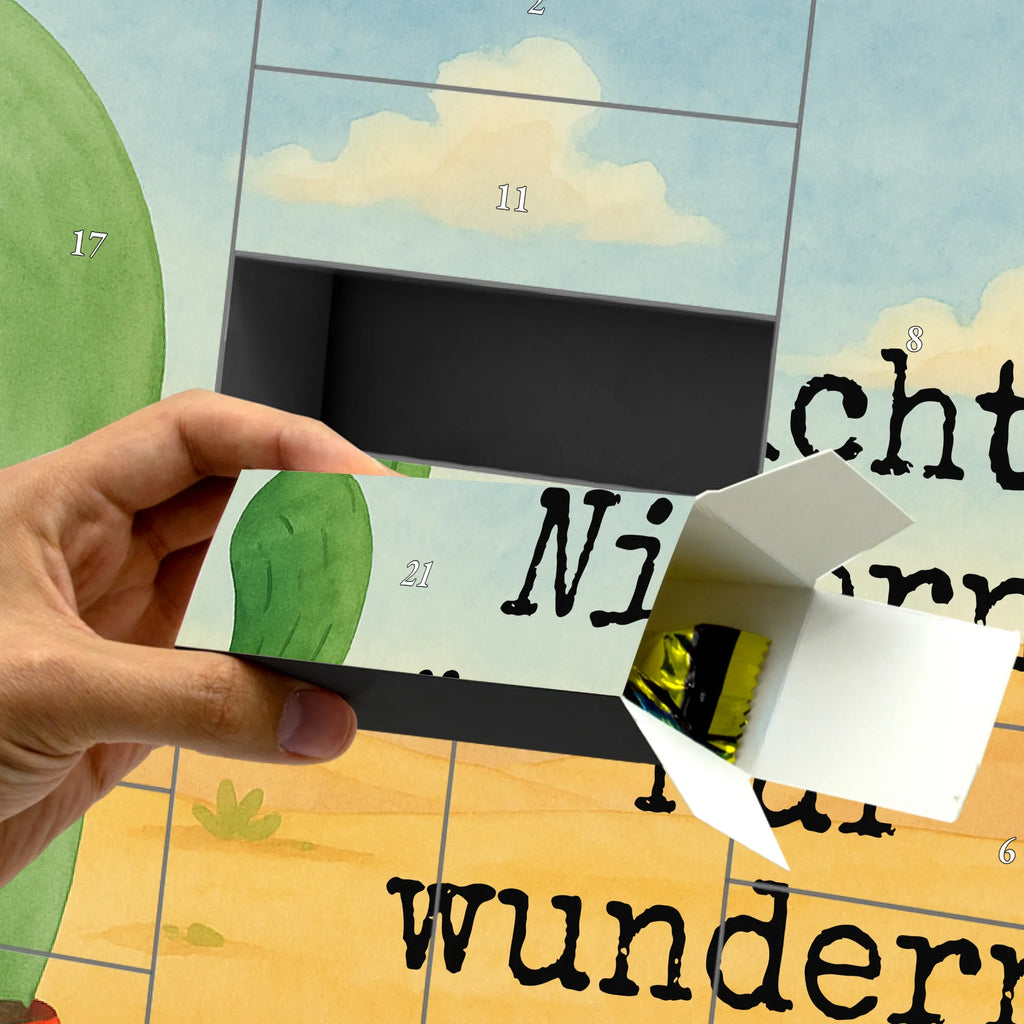 Fillable advent calendar cactus Fury Design Advent calendar 2020, self filling, Advent calendar women, Advent calendar, Advent calendar men, cactus, cactuses, plants, cactus plant, small green cactus, office, boss, angry, school, office life, colleague, annoy