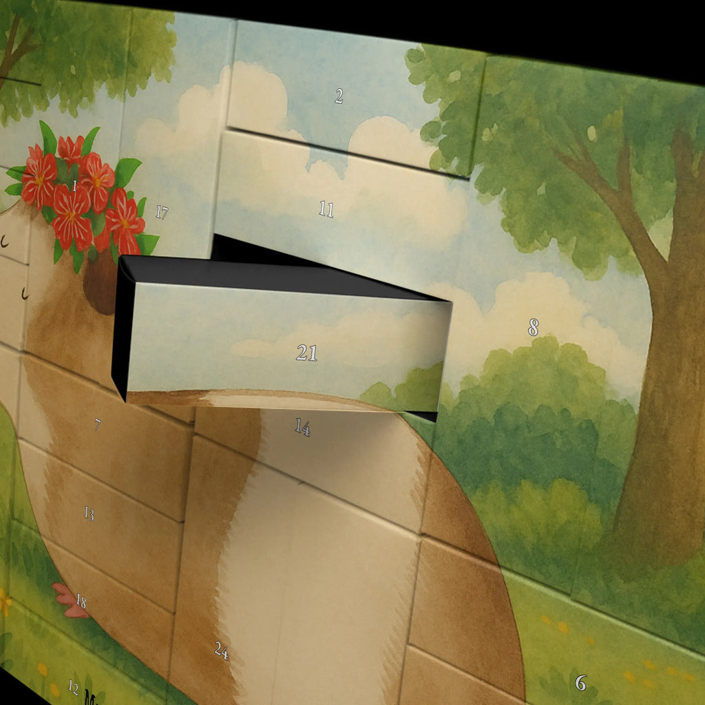 Fillable advent calendar Guinea pig wisdom Design card, gift ideas, gifts, small animals, cute, cute animal motives, hand drawn, funny sayings, good mood, special gifts, animal lover, wonderland, saying, guinea pig, wisdom, flower child, wonder, reality