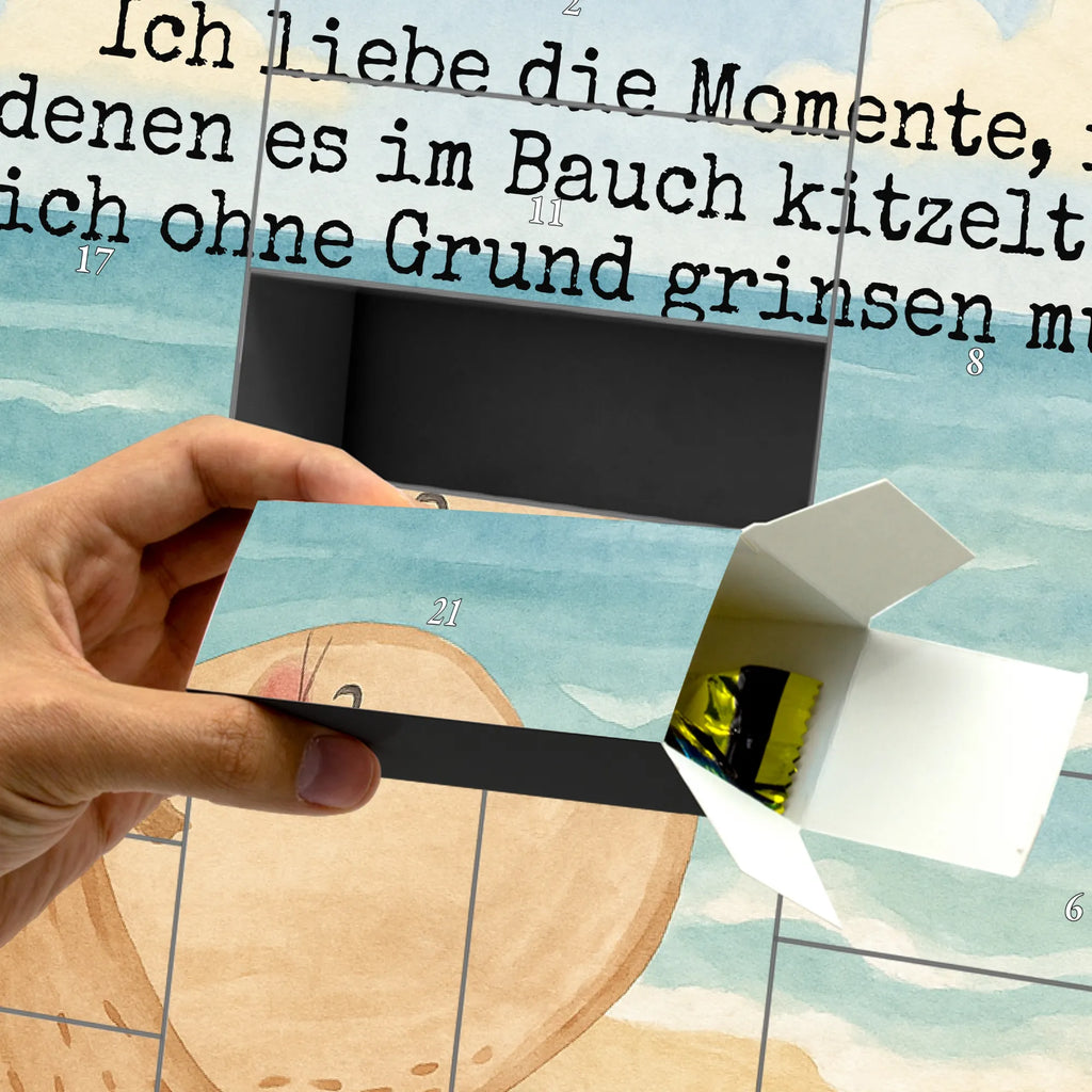  foka Leżeć Design Motywy zwierzęce, dobra energia, zabawne powiedzonka, zwierzęta