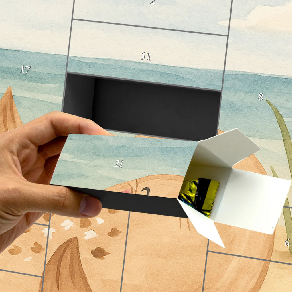  foka Leżeć Design Motywy zwierzęce, dobra energia, zabawne powiedzonka, zwierzęta