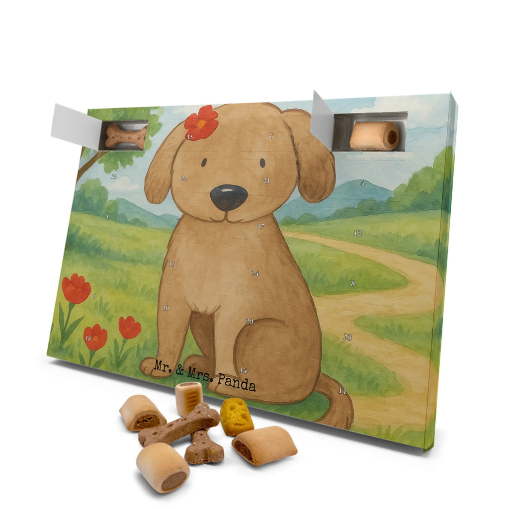 Hunde Adventskalender Hund Dame Design Adventskalender für Hunde, Hunde Adventskalender, Weihnachtskalender, Kalender, Sprüche, Hund, Hunderasse, Hundebesitzer, Hundemotiv, Haustier, Tierliebhaber, Hunde, Frauchen, Hundeliebe, Liebe, Hundeglück