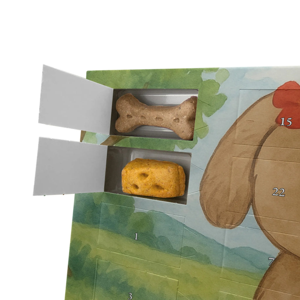 Hunde Adventskalender Hund Dame Design Adventskalender für Hunde, Hunde Adventskalender, Weihnachtskalender, Kalender, Sprüche, Hund, Hunderasse, Hundebesitzer, Hundemotiv, Haustier, Tierliebhaber, Hunde, Frauchen, Hundeliebe, Liebe, Hundeglück