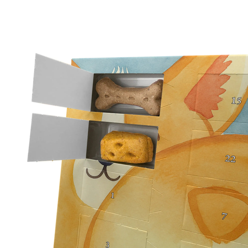 Hunde Adventskalender Corgi Po Design Weihnachtskalender, Adventskalender für Hunde, Hunde Adventskalender, Kalender, Sprüche, Hund, Hunderasse, Hundebesitzer, Hundemotiv, Haustier, Tierliebhaber, Motivation, Hundeliebe, Spruch, Corgie, Selbstliebe
